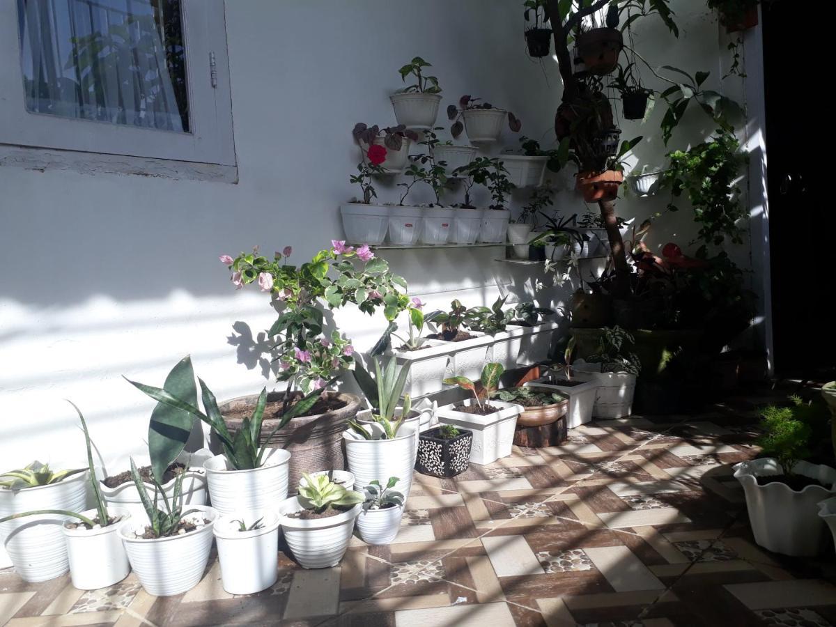 Bumimi Homestay Painan 외부 사진